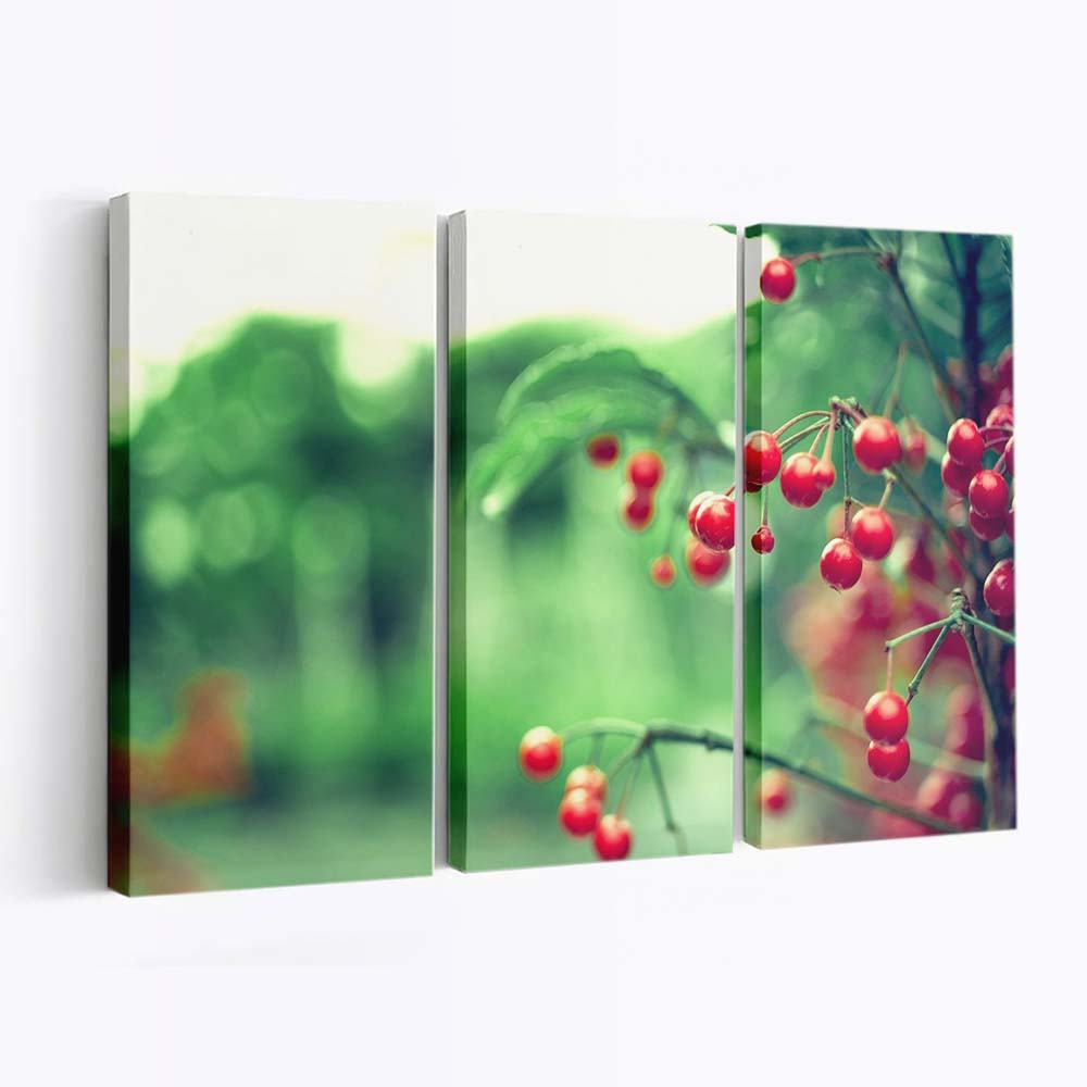 red berries wallpaper